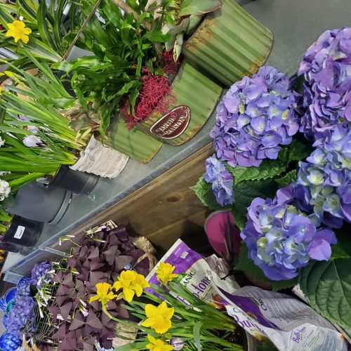 Canoyer Garden Center