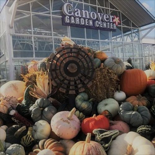 Canoyer Garden Center